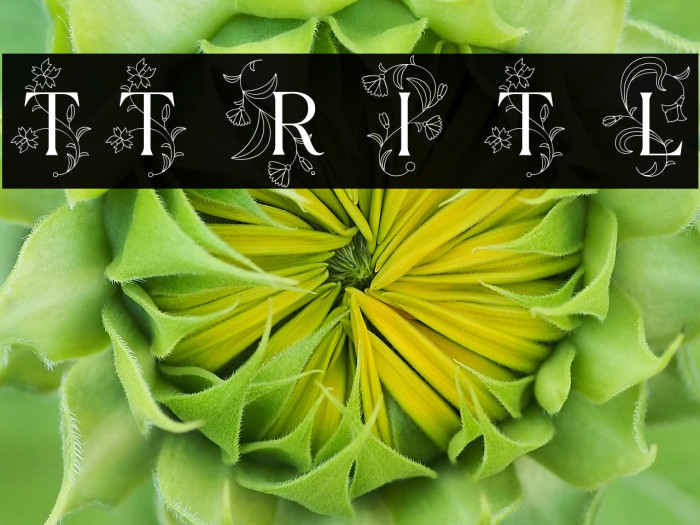 TT Ramillas Initials Trl Lt Example 1