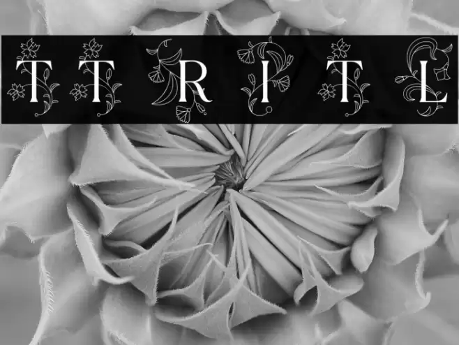 TT Ramillas Initials Trl Lt Font examples