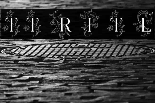 TT Ramillas Initials Trl Lt Font examples