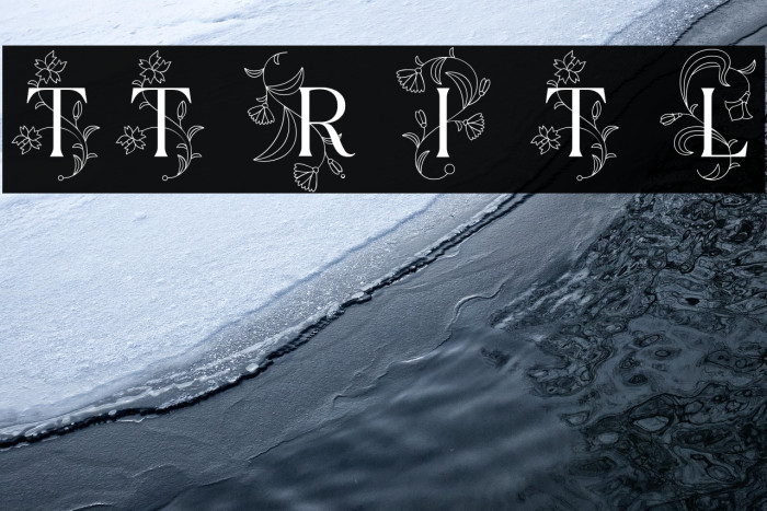 TT Ramillas Initials Trl Lt Example 3
