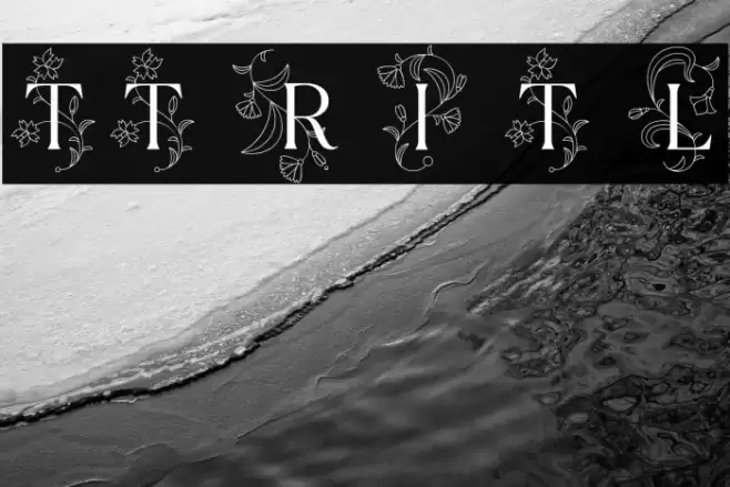 TT Ramillas Initials Trl Lt Font examples