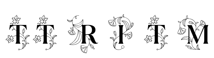 TT Ramillas Initials Trl Md  免费字体下载