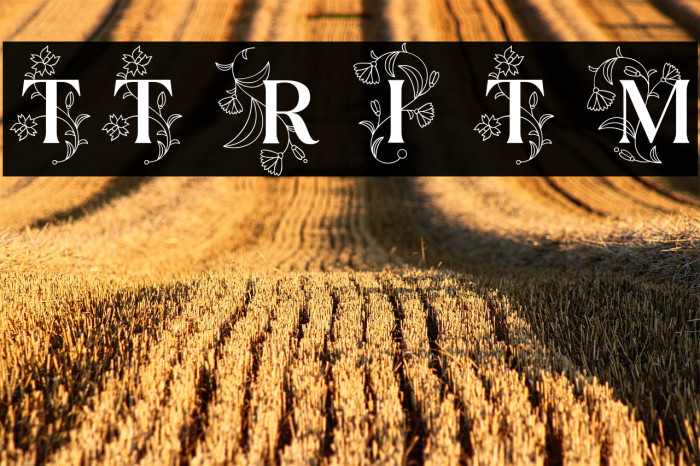 TT Ramillas Initials Trl Md Example 1