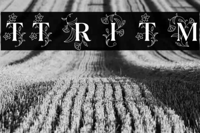 TT Ramillas Initials Trl Md फ़ॉन्ट examples