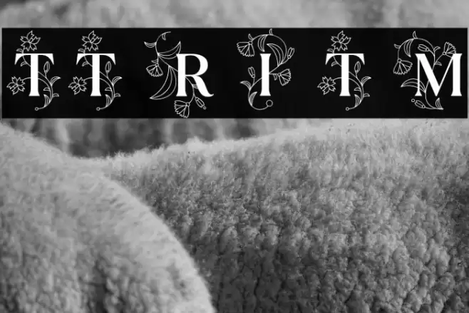 TT Ramillas Initials Trl Md फ़ॉन्ट examples