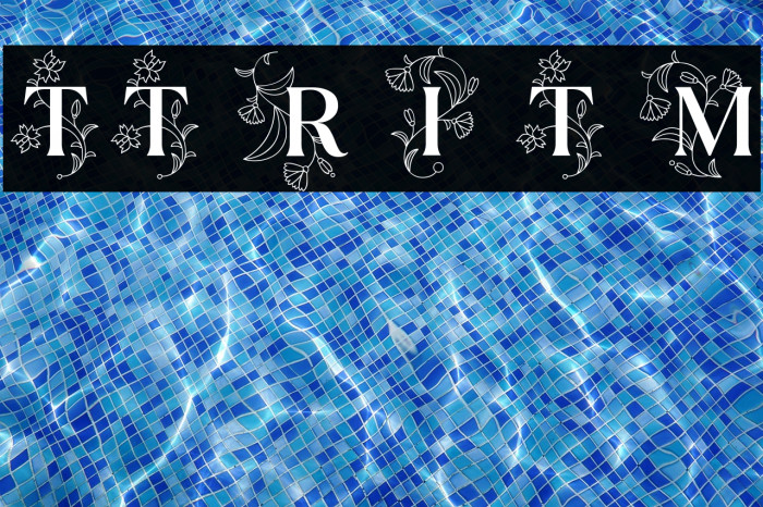 TT Ramillas Initials Trl Md Example 3