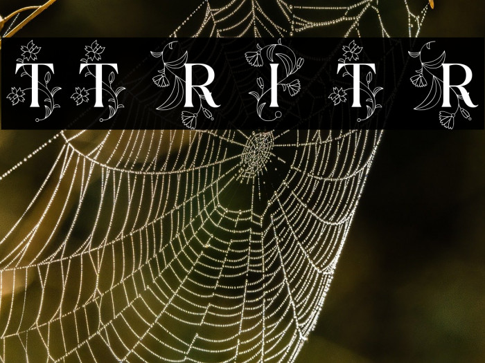 TT Ramillas Initials Trl Rg Example 1