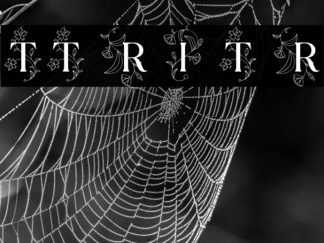 TT Ramillas Initials Trl Rg Schriftart examples