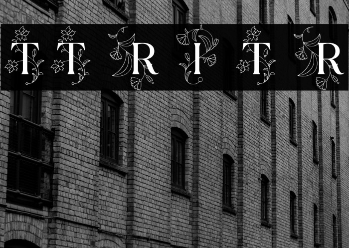 TT Ramillas Initials Trl Rg Example 2