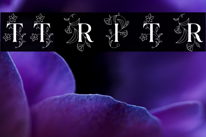 TT Ramillas Initials Trl Rg Example 3