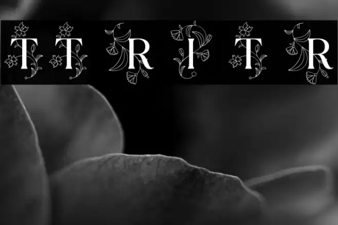 TT Ramillas Initials Trl Rg Schriftart examples