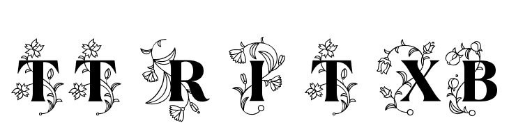 TT Ramillas Initials Trl XBd  フリーフォントのダウンロード