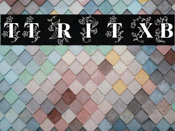 TT Ramillas Initials Trl XBd Example 1