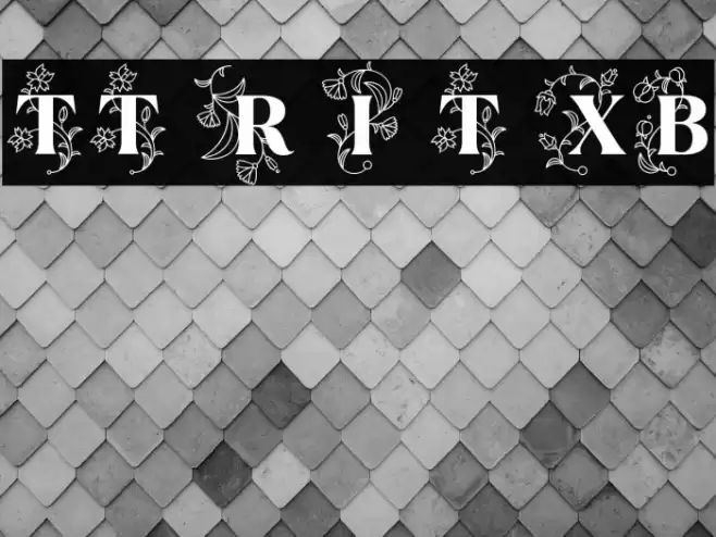TT Ramillas Initials Trl XBd Font examples
