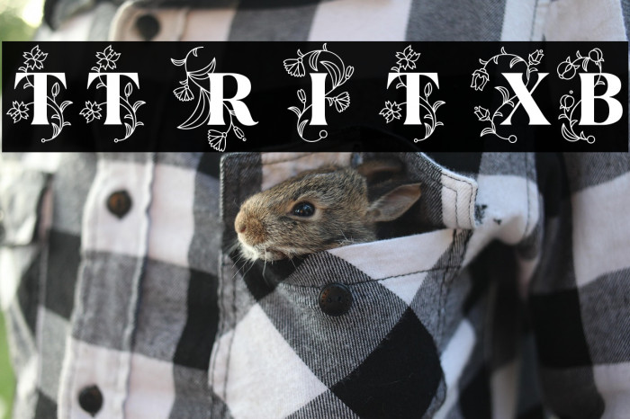 TT Ramillas Initials Trl XBd Example 3