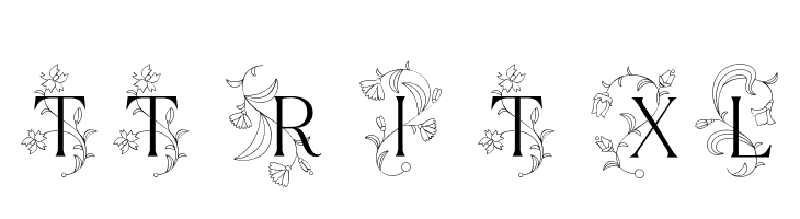 TT Ramillas Initials Trl XLt Шрифта