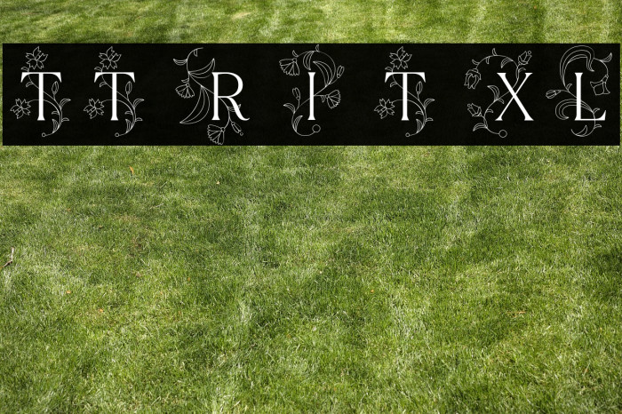 TT Ramillas Initials Trl XLt Example 1