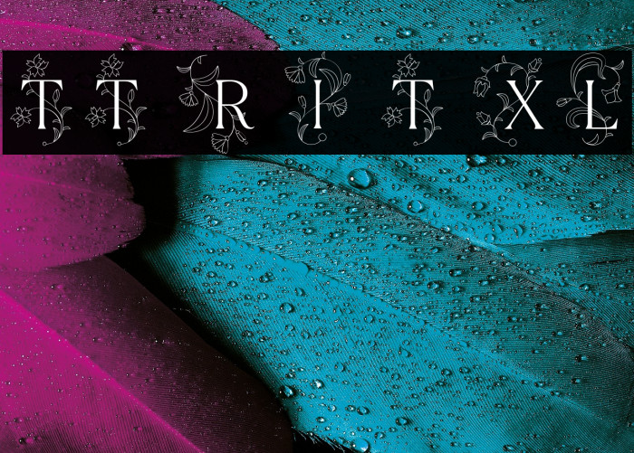 TT Ramillas Initials Trl XLt Example 2