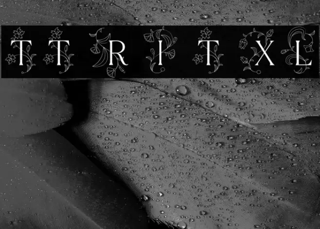 TT Ramillas Initials Trl XLt Шрифта examples