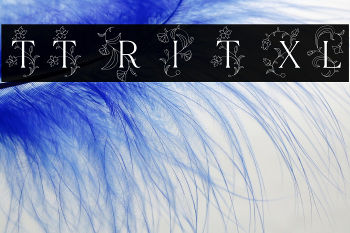 TT Ramillas Initials Trl XLt Example 3