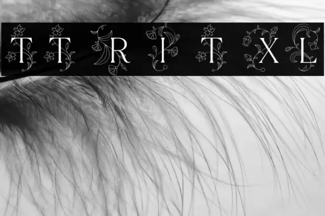 TT Ramillas Initials Trl XLt Шрифта examples