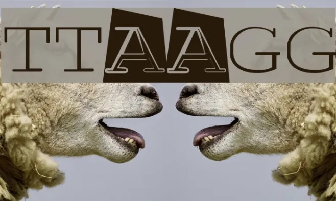 TTAAGG Example 1