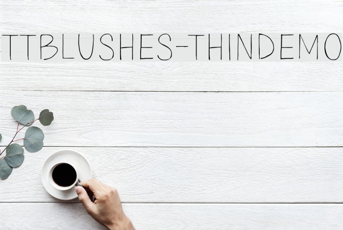 TTBlushes-ThinDEMO Font examples