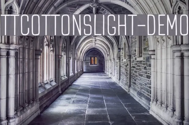 TTCottonsLight-DEMO Example 2