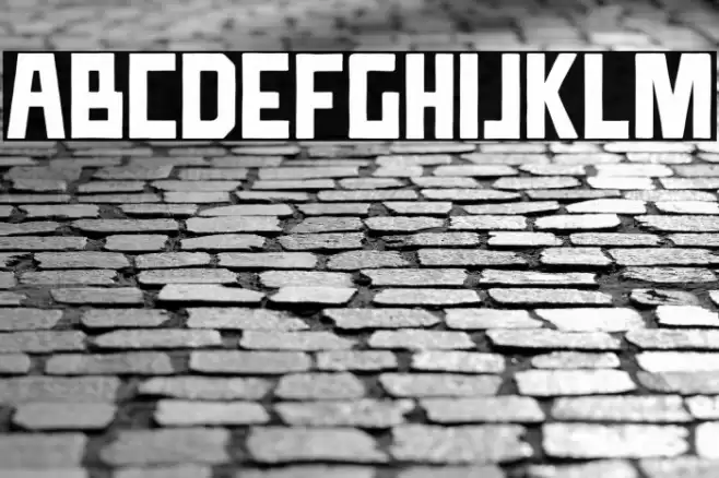 TTDCompadre Font examples