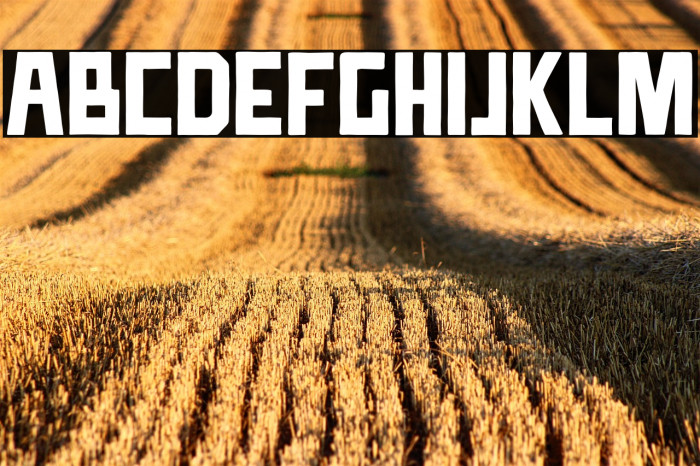 TTDCompadre Example 2