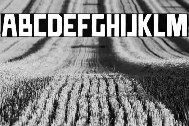 TTDCompadre Font examples