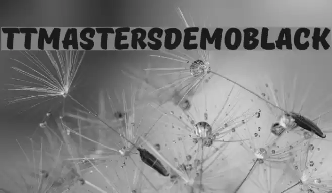 TTMastersDEMOBlack examples