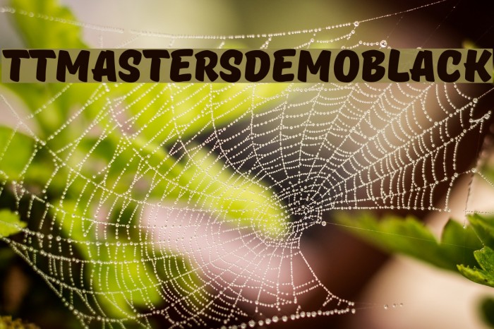 TTMastersDEMOBlack Font examples