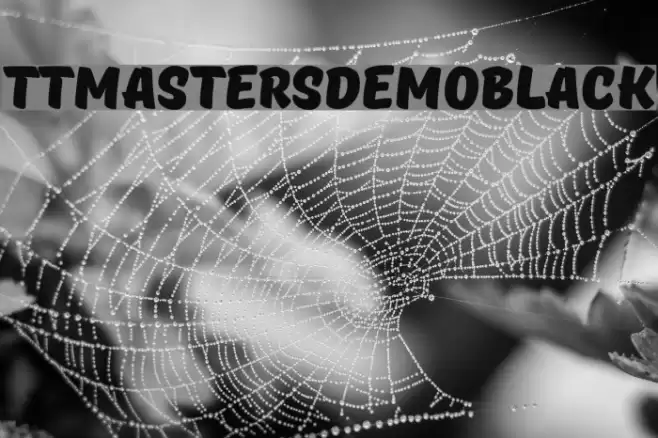 TTMastersDEMOBlack examples