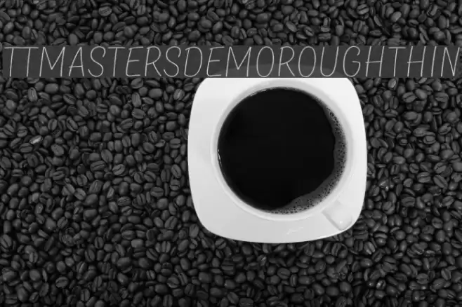 TTMastersDEMORoughThin  examples