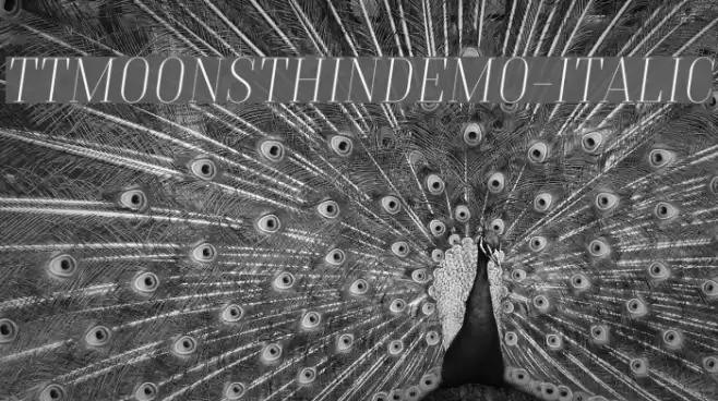 TTMoonsThinDEMO-Italic Font examples