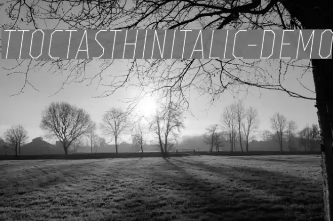 TTOctasThinItalic-DEMO Font examples