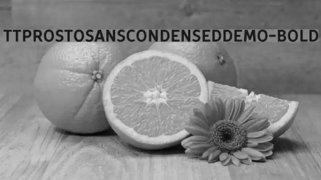 TTProstoSansCondensedDEMO-Bold フォント examples