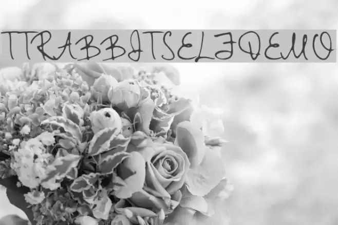 TTRabbitsElfDEMO Fonte examples