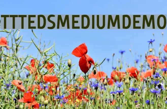 TTTedsMediumDEMO Example 3