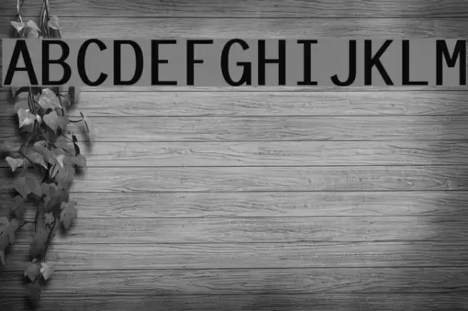 Tt-Kp-Medium Font examples