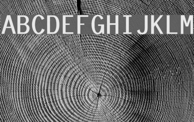 Tt-Kp-Medium Font examples