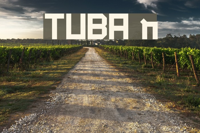 TUBA n Font examples