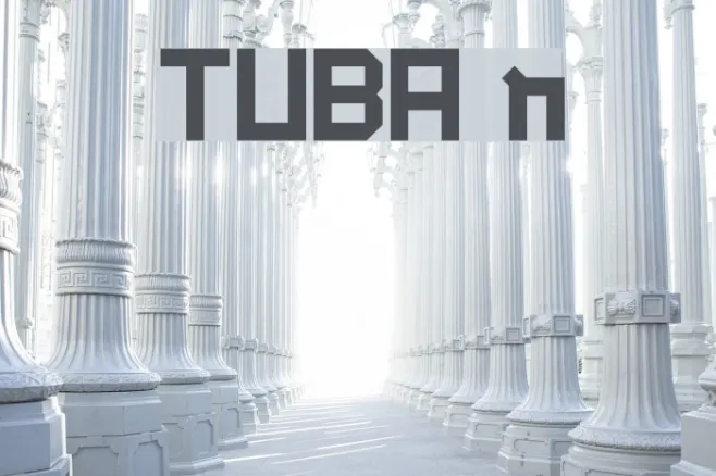 TUBA n Example 3