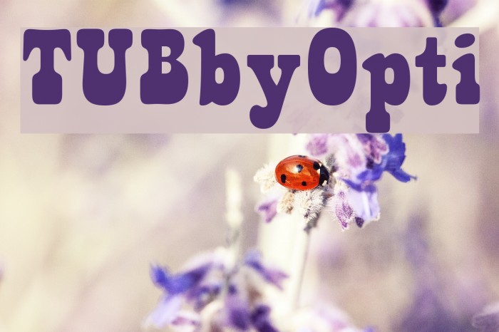 TUBbyOpti Font examples