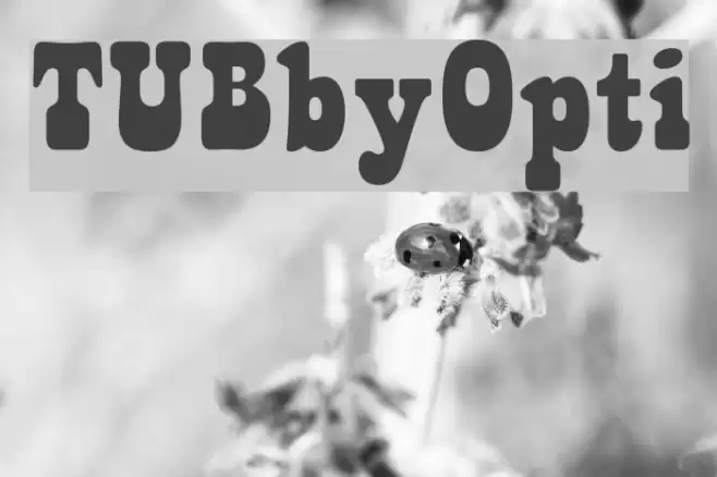 TUBbyOpti Font examples