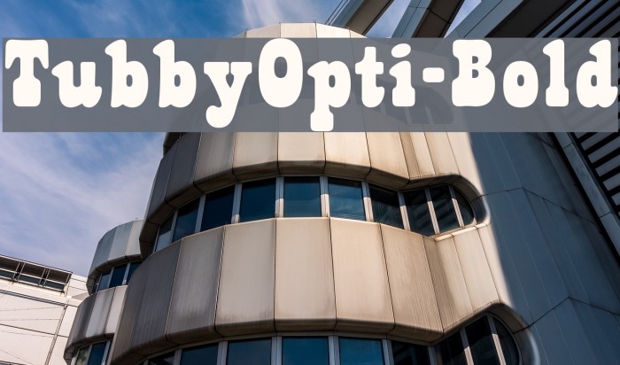 TubbyOpti-Bold Font examples