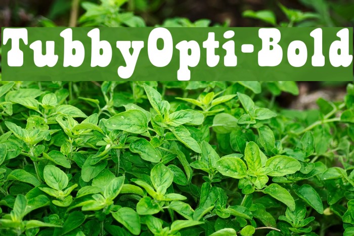 TubbyOpti-Bold Font examples