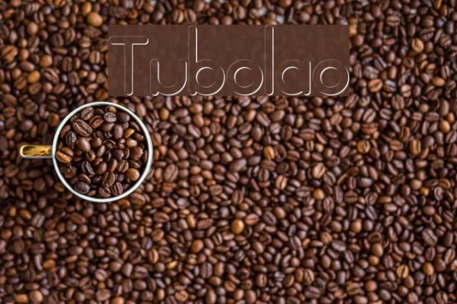 Tubolao Example 1