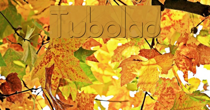 Tubolao Font examples